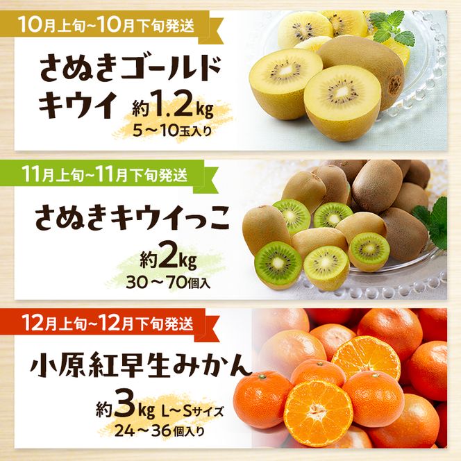 フルーツ定期便 果物 定期便 全12回 香川県産 国産 讃岐 香緑キウイ さぬきひめ苺 いちご デコポン びわ メロン 桃 ぶどう シャインマスカット さぬきキウイっこ 小原紅早生みかん みかん 毎月お届け くだもの 五色青果 香川県 東かがわ市