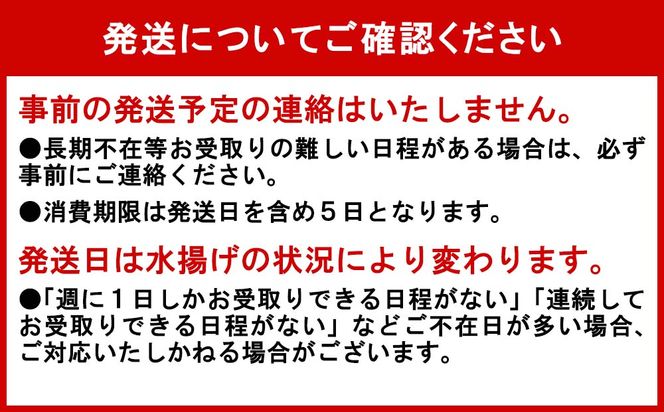 ＜ 2026年4月上旬より発送 ＞ うに 北海道 800g （ 100g × 8パック ） 使用するのは塩水のみ 日高沖産 塩水 生雲丹 春ウニ エゾバフンウニ ＜ 予約受付 ＞