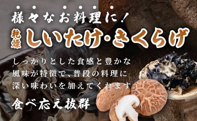 湘南しいたけ 乾燥 しいたけ 乾燥 きくらげ 乾物 しいたけ シイタケ 椎茸 キクラゲ 木耳 乾燥 出汁 旨味 保存食 国産 スーパーフード サラダ スープ アレンジ料理 ヘルシー 北海道 伊達市【農福連携】