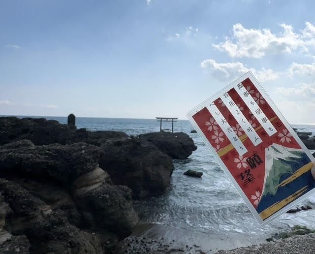 必ず見透す陣中占ひ® ～Crear Vision～ 運勢 願望 待人 縁談 身の上 カード3枚 PET/PP素材（正規品） | 占い 昭和 おもちゃ ※離島への配送不可