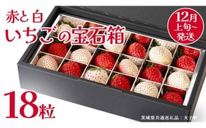 赤いちご と 白いちご の宝石箱18粒【2026年12月上旬発送開始】(茨城県共通返礼品：大子町) いちご 苺 果物 フルーツ 果実