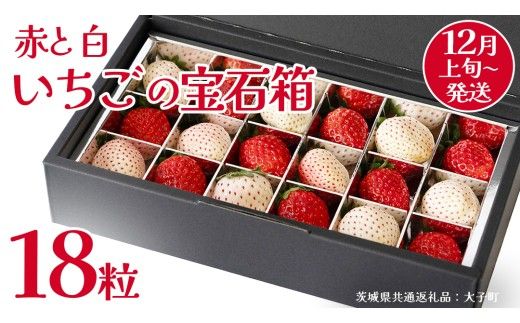 赤いちご と 白いちご の宝石箱18粒【2026年12月上旬発送開始】(茨城県共通返礼品：大子町) いちご 苺 果物 フルーツ 果実