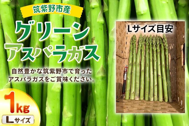 【期間限定発送】 アスパラ グリーンアスパラガス L 1kg [ファームいまむら 福岡県 筑紫野市 21761485] アスパラガス グリーンアスパラ 野菜