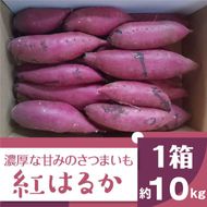 2025年度産 濃厚な甘みのさつまいも 紅はるか 約10kg｜さつまいも 芋 お芋 紅はるか 渋谷農園 茨城県 行方市(BZ-14)