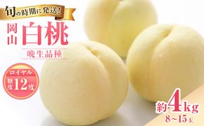 【2026年先行受付】 白桃 特秀 ロイヤル 大玉 晩生品種 約4kg(8～15玉) 岡山県産 桃 もも モモ 御中元 ギフト 御礼 プレゼント 御礼 御祝 御供 果物 くだもの フルーツ