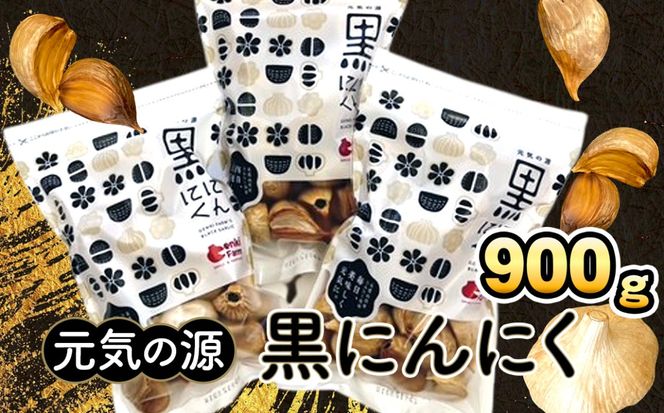 y򕌌RszČ@ɂɂ@900g [No.502]