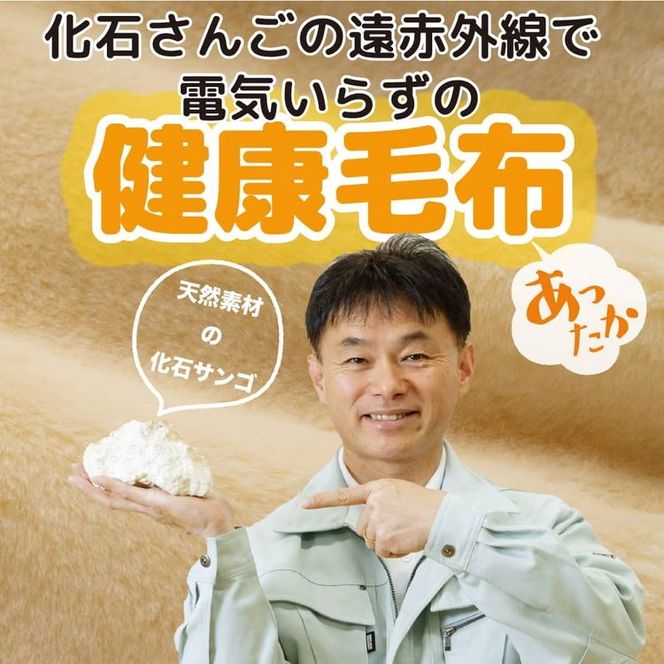 温泉に入ったときのような心地よさ「温泉毛布ニゅ～マイヤー（一重毛布）」シングルサイズ140cm×200cm【ニューマイヤー毛布 シングル 軽い 暖かい 温かい ふわふわ 肌触り 柔らかい 洗える アクリル 軽量 薄手 薄い 1重 保温 冬 ブランケット 日本製 国産】