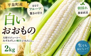 【7月下旬～8月上旬発送】 平泉町産 白い おおもの とうもろこし 2kg (4～6本) / トウモロコシ 野菜 やさい 甘い 濃厚 美味しい 【配送不可地域：九州／沖縄県／離島】【ipo001】