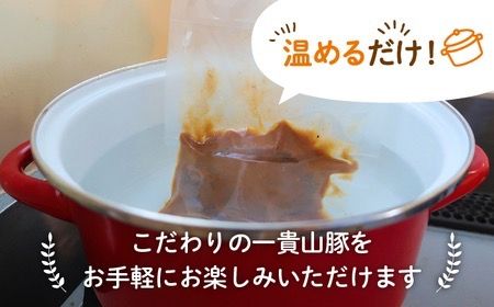 【全3回定期便】一貴山豚 とんバーグ 12個（ 6個 × 2種 ） 糸島市 / いきさん牧場 [AGB013] ハンバーグ デミグラス 冷凍 詰め合わせ 湯せん