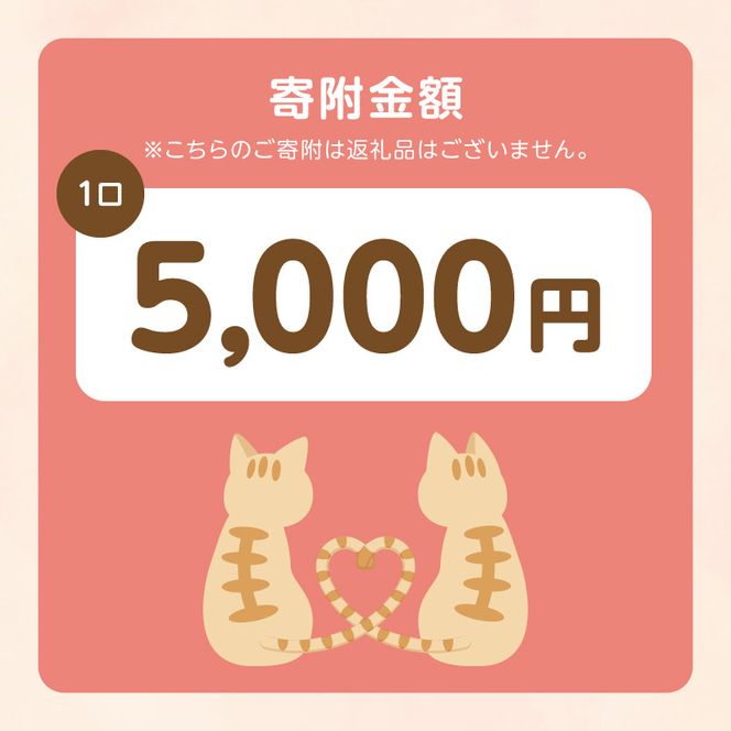 人と猫が互いに幸せになれるまちを目指して『不妊去勢手術支援プロジェクト』（返礼品はありません） N0159-9999993