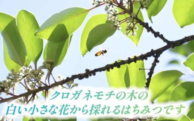 あいさいはちみつ クロガネモチ 300g 蜂蜜 国産 チューブ 愛西市/あいさいはちみつ[AEBP001]