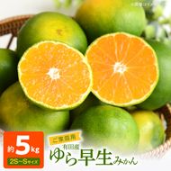 有田みかん 約5kg ご家庭用 和歌山 ゆら早生 極早生 (SS、Sサイズ)【湯浅町】_AT6217n