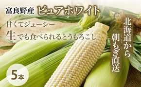 【2026年夏発送】とうもろこし ピュアホワイト 5本 L～2Lサイズ 富良野産 生で食べられる 野菜