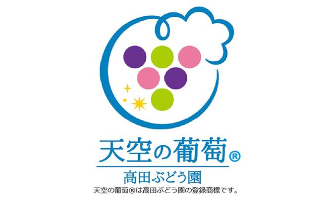 ぶどう 2026年度 早期受付 天空の葡萄(登録商標) ニュー ピオーネ 2房 1.2kg以上 1箱 美味しい笑顔をお約束 葡萄 フルーツ 岡山 高梁市産