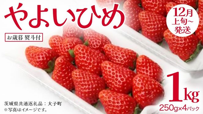 y錧vszy Ε lt z 悢Ђ 250gi8`12j×4pbNy2025N12{Jnz(錧ʕԗiFq)   ʕ t[c ʎ p Mtg 蕨