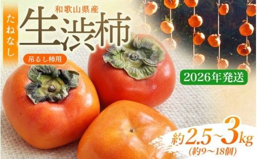 甘さが違う！とっても甘くなる生渋柿（平たねなし柿）吊るし柿用 T字枝or吊るしクリップ付 約2.5～3kg 約9～18個 １０月下旬～順次発送-Ted(日付指定不可) 【art040A】