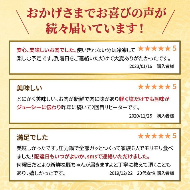 延岡よっとん スペアリブ2kg N003-YB345