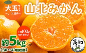 みかん 山北みかん 大玉サイズ L・2L混合 約5kg（30～40個程度） 山北みらい - 果物 フルーツ 柑橘類 温州みかん ミカン 蜜柑 甘い おいしい 美味しい 高知県 香南市 yk-0079