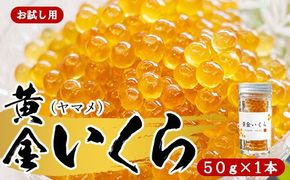 【お試し用】【幻の珍味】「黄金いくら」１本セット（ヤマメの卵醤油漬け） いくら イクラ 魚卵 小分け　数量限定 旬 人気 贈答 美味しい ヤマメ 鱒 冷凍 お取り寄せ