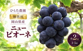 ぶどう 2027年 先行予約 ひらた農園 贈答用 岡山県産 加温ハウス栽培 ニューピオーネ 約2kg（3～5房） 果物 ぶどう フルーツ 