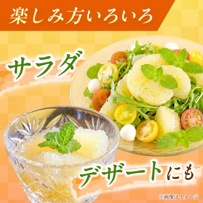 【先行予約】＜果樹園直送＞土佐小夏 特選品贈答用 約3kg 3キロ〈2027年5月下旬～6月下旬頃発送〉  / こなつ 小夏 日向夏 ニューサマーオレンジ 柑橘 かんきつ 柑橘類 フルーツ 果物 くだもの 果実【白木果樹園】 [BQAI027]