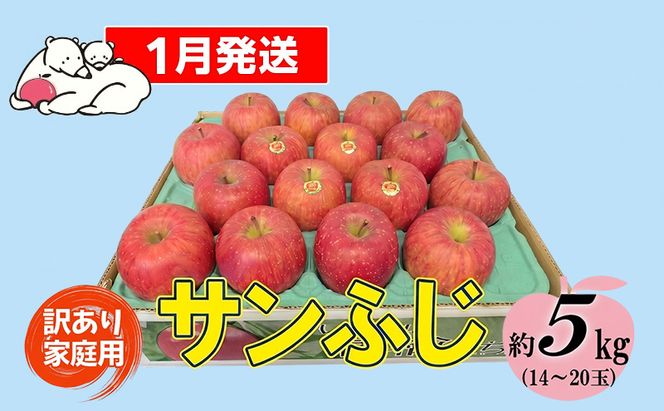 【1月発送】白熊 訳あり家庭用 サンふじ 約5kg 糖度13度【青森りんご 果物 フルーツ 食後 デザート シャキシャキ ジューシー りんごの王様 】