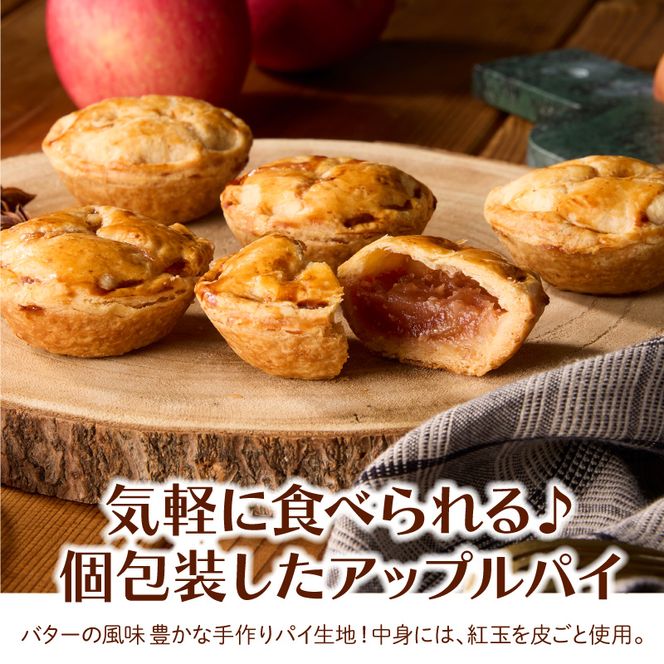 スウィーツデリバリー「お一人様用アップルパイ」 5個入り［185S08］アップルパイ 5個 アップル パイ 紅玉 りんご 菓子 お菓子 スイーツ 焼菓子 洋菓子 デザート おやつ 個包装 冷凍 お土産