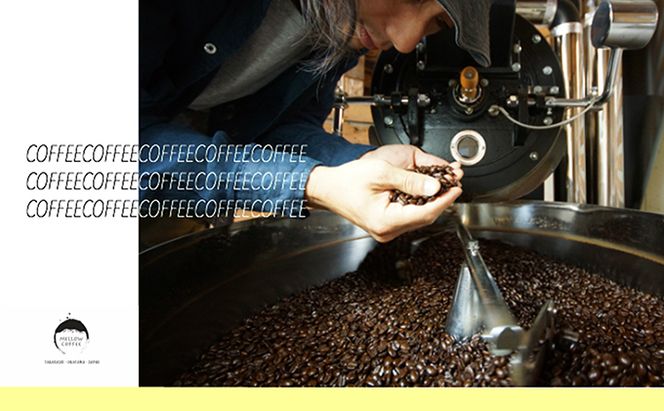 【メール便】 1袋たっぷり50gのまろやか水出し珈琲×10袋【ドリップ、アイスコーヒー】 飲料類 