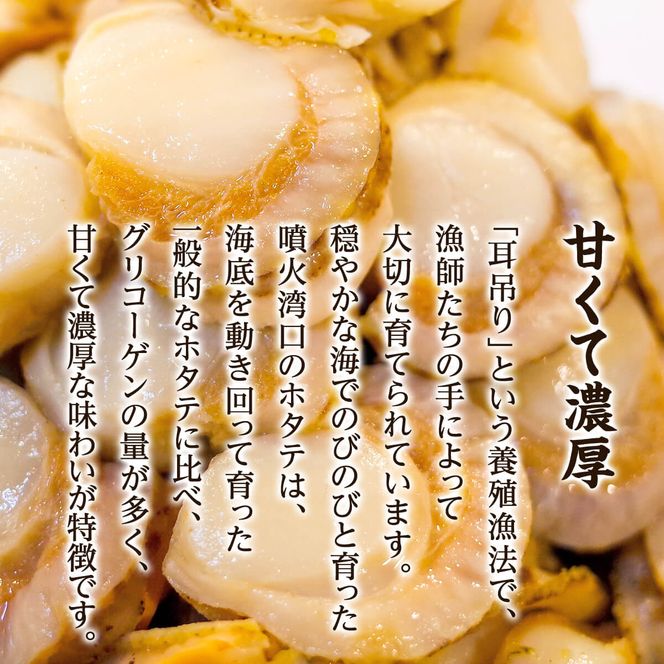 北海道産 ボイルベビー ホタテ Lサイズ 1kg 加熱用 ホタテ 帆立