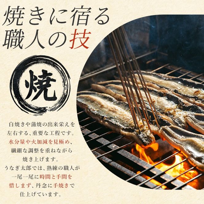 【1303707b】＜定期便・全5回(連続)＞鹿児島県産東串良町のうなぎ蒲焼(2尾・計280g以上・秘伝のタレ付き×5回) うなぎ 高級 ウナギ 鰻 国産 蒲焼 蒲焼き たれ 鹿児島【うなぎ太郎】
