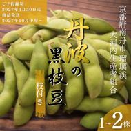 枝豆 京都 2027年 先行予約 丹波の枝付き黒枝豆 るり渓 大河内生産組合発 丹波 野菜 国産 生 黒枝豆 おつまみ えだまめ エダマメ 先行 ※北海道・沖縄・離島への発送不可 