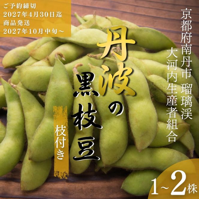 枝豆 京都 2027年 先行予約 丹波の枝付き黒枝豆 るり渓 大河内生産組合発 丹波 野菜 国産 生 黒枝豆 おつまみ えだまめ エダマメ 先行 ※北海道・沖縄・離島への発送不可 