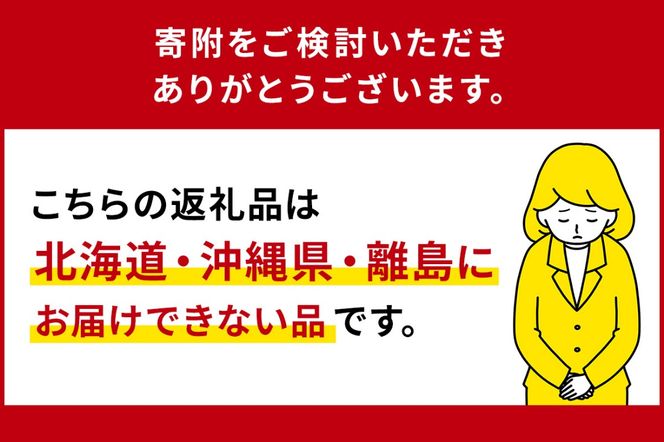 ns084-002 【栃木県共通返礼品】JAなすの産いちご 産地直送 とちあいか 1箱（290g×2パック）【数量限定】