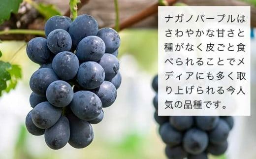 皮ごと食べられる長野県産ぶどう２種詰め合わせ シャインマスカット ＆ ナガノパープル 約1kg 各1房 ［おぶせファーマーズ］ 果物 フルーツ ぶどう 葡萄 冷蔵便 クール便 長野県産 信州産 食べ比べ 令和7年産 【2025年9月中旬〜10月上旬発送】 ［F-27］