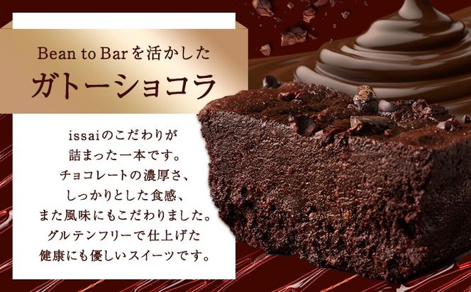 石挽きガトーショコラ＆チョコアイスセット 石挽きショコラ 1本 チョコアイス 6個 石挽きカカオissai 《30日以内に出荷予定(土日祝除く)》岡山県 矢掛町 チョコレート ガトーショコラ アイス カカオ---osy_ficigcci_30d_24_25000_s---