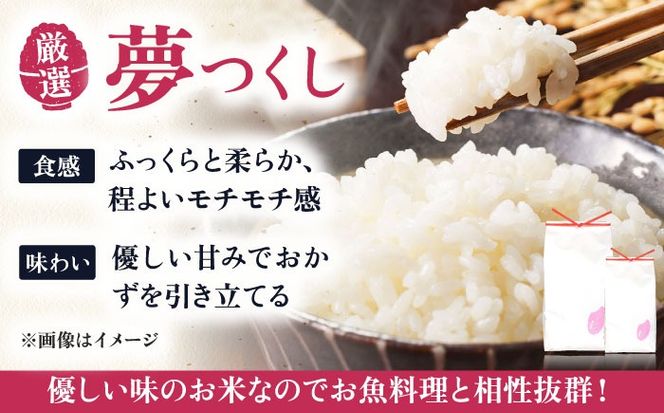 いとし米 厳選夢つくし 10kg糸島市 / 三島商店 [AIM044] 米 白米