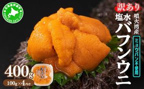 訳あり 北海道 噴火湾産 塩水 バフンウニ 100g 4パック 計400g 《アフター保証付き》うに ウニ 雲丹 海鮮 海の幸 魚介類 ウニ丼 お寿司 濃厚 無添加 産地直送 お取り寄せ 山村水産 送料無料