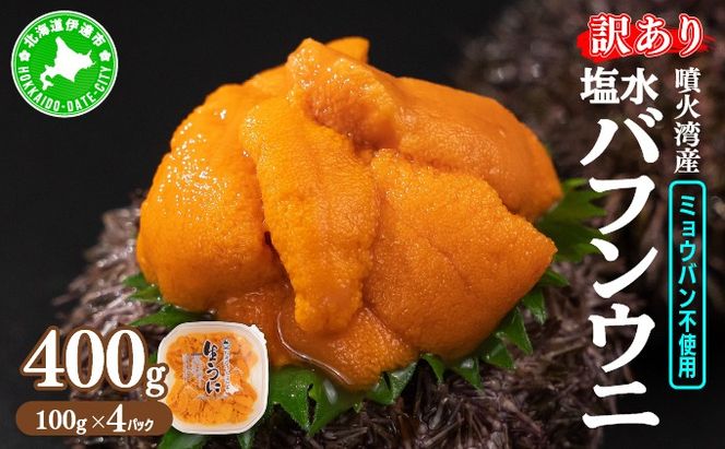 訳あり 北海道 噴火湾産 塩水 バフンウニ 100g 4パック 計400g 《アフター保証付き》うに ウニ 雲丹 海鮮 海の幸 魚介類 ウニ丼 お寿司 濃厚 無添加 産地直送 お取り寄せ 山村水産 送料無料