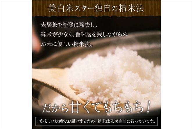 【定期便3回】令和7年産 美白精米 丹後こしひかり 5kg×3ヵ月 1等米　MU00060