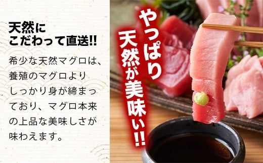 【先行予約】YE-01 石垣島産 天然本マグロ600g（まぐろ赤身・中トロ・大トロのミックスセット ）ヤエスイ マグロ船直送【2025年6月下旬より順次発送】【 産地直送 大トロ 大とろ 中トロ 中とろ 国産 まぐろ 鮪 天然 赤身 魚 お刺身 本まぐろ マグロ 沖縄県 沖縄 琉球 八重山 八重山諸島 石垣島 石垣 石垣島産 】