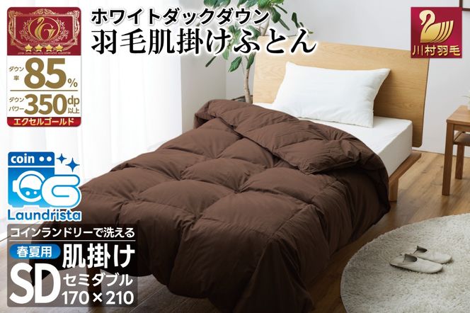 yRBszytėpz􂦂 H |zc Z~_u zCg_bN_E 85% 0.5kg (n uE) [쑺H R Bs 20743633] |zc zc Hѕzc _EPbg ӂƂ | _EPbg Q RCh[