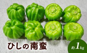 ひしの南蛮 約1kg 野菜 国産 国産野菜 アオトウガラシ 信州の伝統野菜 柔らかい 旬の食材 旬の野菜