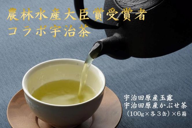 【数量限定】農林水産大臣賞受賞者　下岡清富×谷勝谷健士×谷口悟司　コラボ宇治茶〈限定 お茶 茶 煎茶 緑茶 茶葉 玉露 かぶせ茶 コラボ 詰合せ 最高茶師 大臣賞 飲料 加工食品〉 