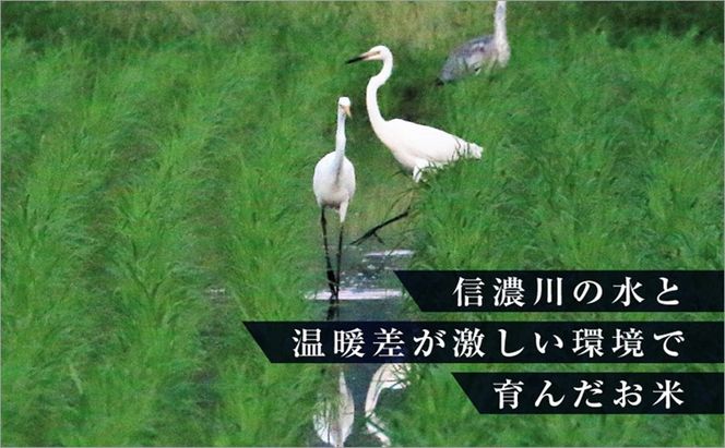 【定期便／6ヵ月】魚沼産コシヒカリ　5kg　厳選　低温管理　自社精米　新潟　こしひかり