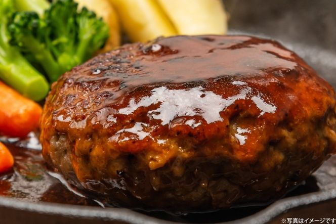 AJ638 デミグラスハンバーグ290g 5パック [ 牛肉 豚肉 国産 合挽 ギフト 御中元 御歳暮 湯煎 竹林 つばきグリル 株式会社プラス1 長崎県 島原市 ]