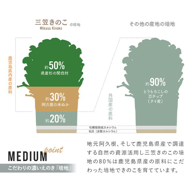 濃いえのき黒(20袋・計460g) 国産 黒えのき エノキ きのこ キノコ 味茸 セット 個包装 【三笠えのき茸生産組合】akn010-20