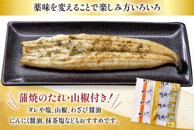 うなぎ 国産 白焼 約160g 1尾 [駿河淡水 静岡県 吉田町 22424769] タレ山椒付き 真空パック 個包装 静岡県産 静岡 鰻 ウナギ 白焼き