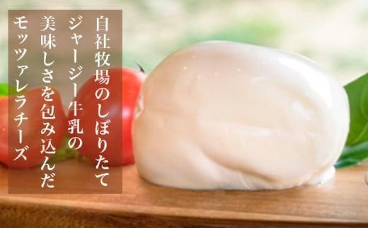 無添加 小布施牧場の搾りたてジャージー牛乳で作ったモッツァレラチーズ 100g × 3個 ［小布施牧場］チーズ モッツァレラ おつまみ サラダ 冷蔵便 クール便 プレゼント 長野 信州 ［A-29］