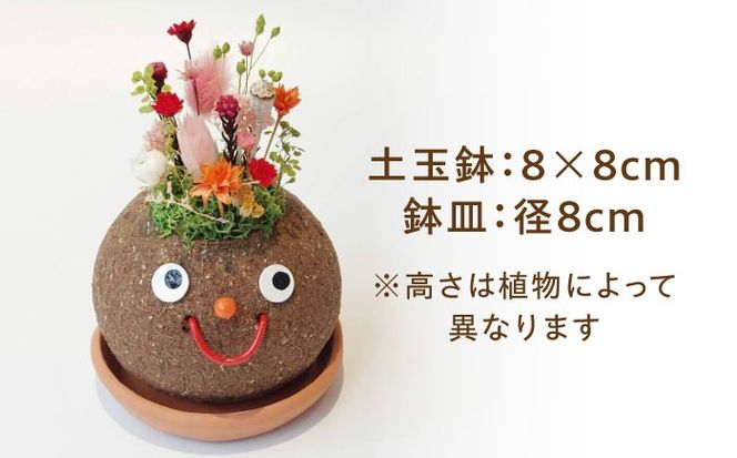プリザーブドFLOWER つちだくん 赤ピンク系 プリザーブドフラワー 造花 インテリア 愛西市 / 花のひより園[AEAX004]