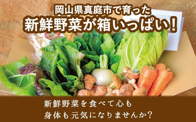 まにわの野菜 真庭あぐり野菜セット 7～8品 カット野菜入り 平飼い卵付き / 詰め合わせ 産地直送 岡山県 真庭市 新鮮 あぐりガーデン 産直工房 国産【配送不可地域：北海道／沖縄県／離島】【jujy054-01】
